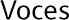 Voces Font Engraved on Belfort Ballpoint Pen