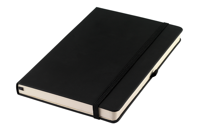 DNBPCE Exclusive Notebook by Pierre Cardin