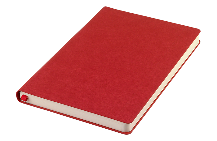 DNBPCF Fashion Notebook by Pierre Cardin